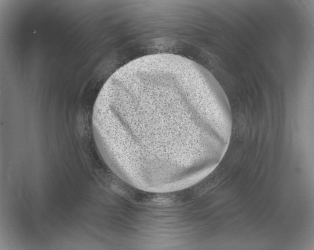 X0000052980236200508051049