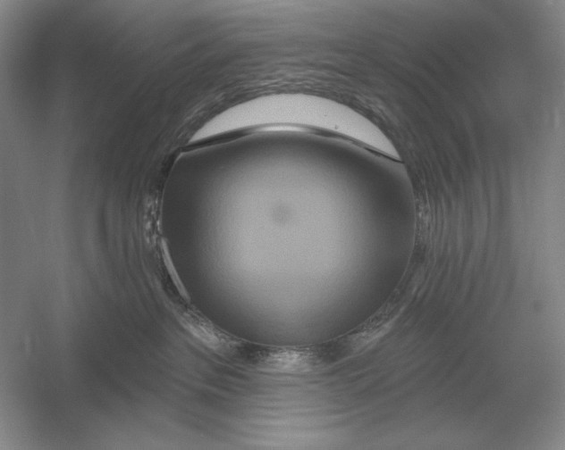 X0000052980237200508051049