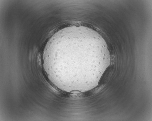 X0000052980238200508051049