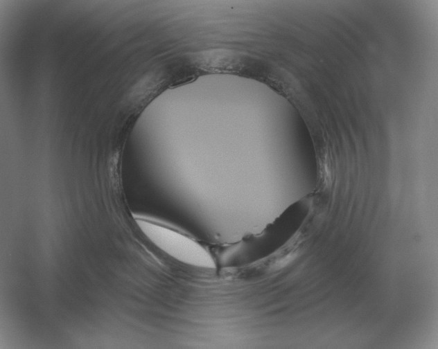 X0000052980239200508051049