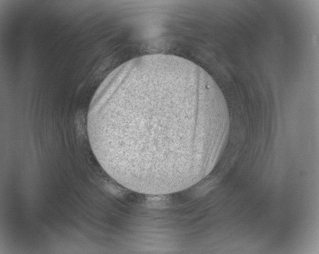 X0000052980240200508051049