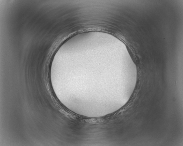 X0000052980241200508051048