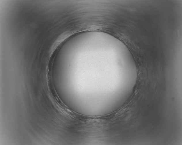 X0000052980242200508051048