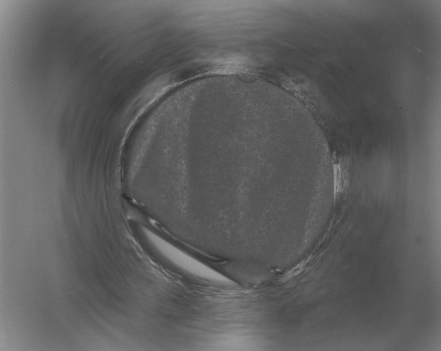 X0000052980243200508051048