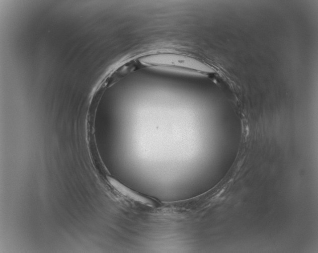 X0000052980244200508051048