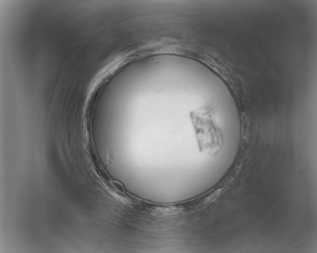 X0000052980245200508051048