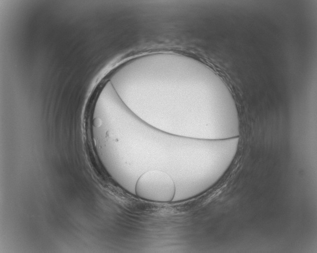 X0000052980246200508051048