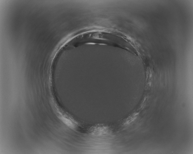 X0000052980247200508051048