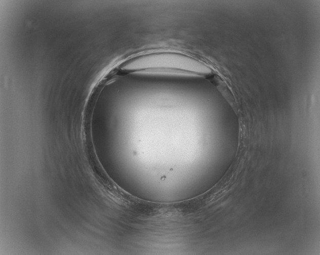 X0000052980248200508051048