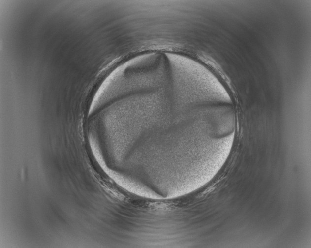 X0000052980249200508051048