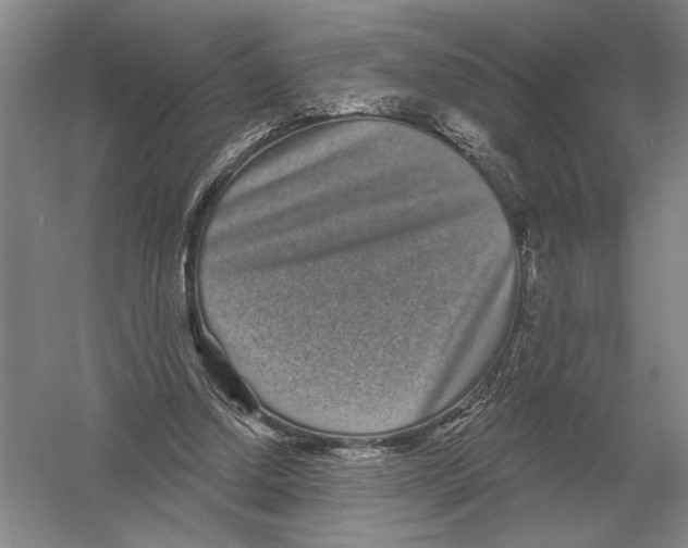 X0000052980250200508051048