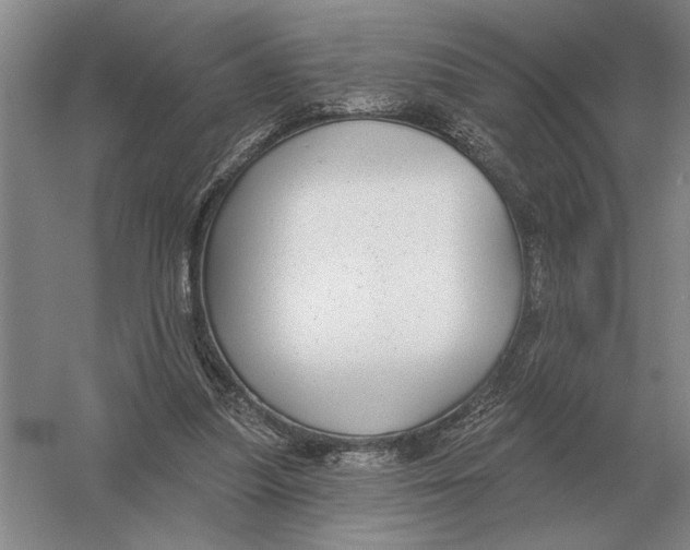 X0000052980251200508051048