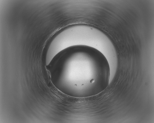 X0000052980252200508051048