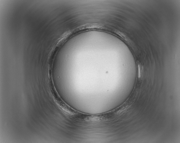 X0000052980253200508051048