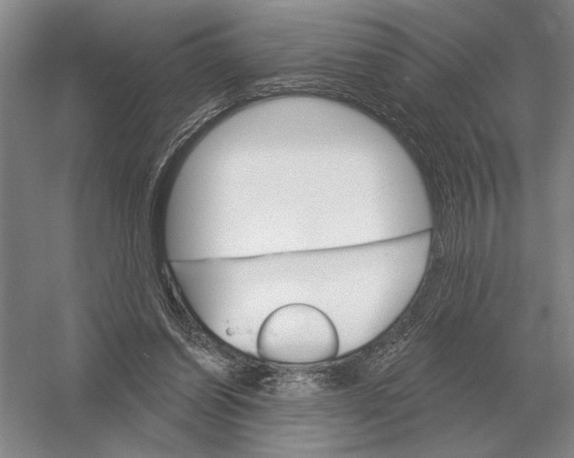 X0000052980254200508051048