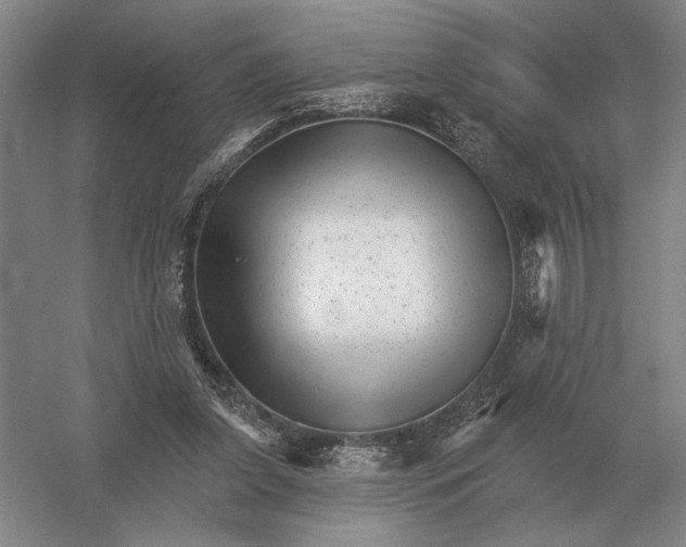 X0000052980255200508051048