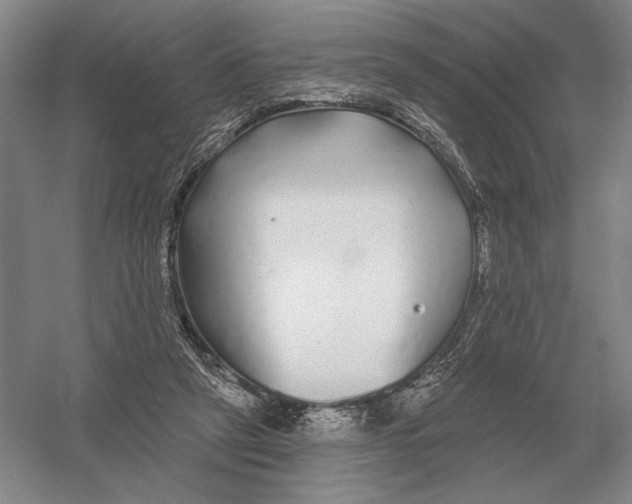 X0000052980257200508051048