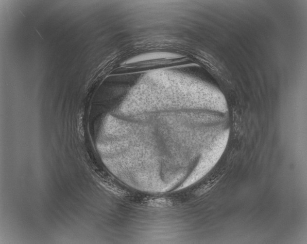 X0000052980258200508051048