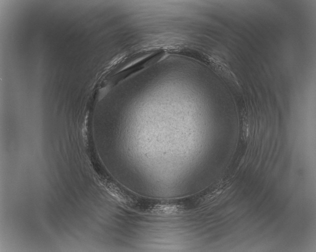 X0000052980260200508051048