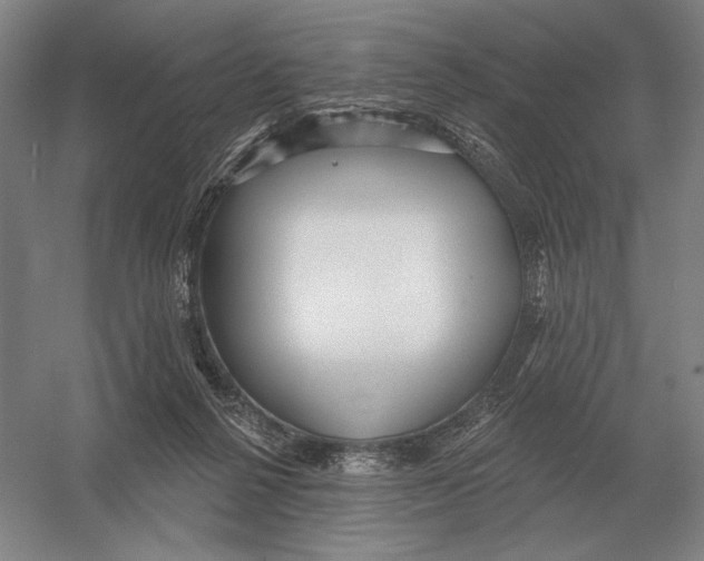 X0000052980264200508051048