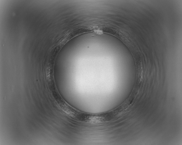 X0000052980268200508051049