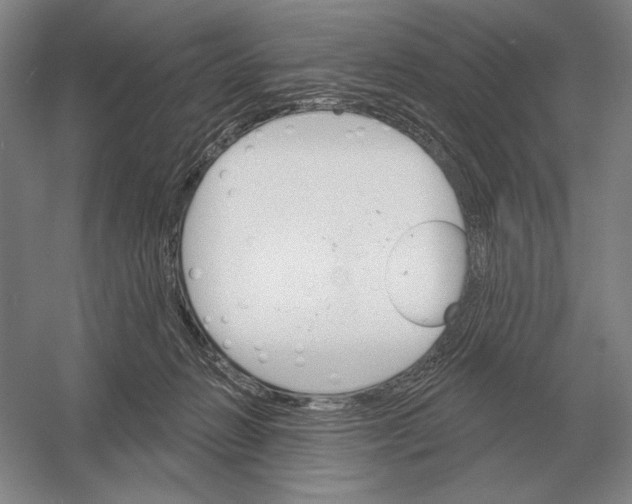 X0000052980270200508051049