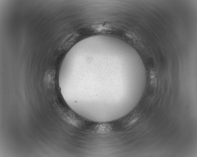 X0000052980275200508051049