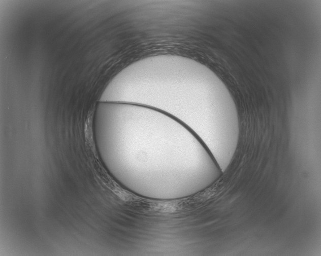 X0000052980276200508051049