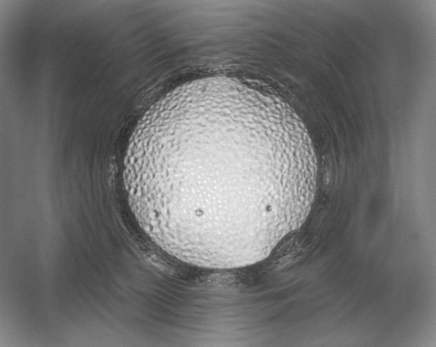 X0000052980279200508051049