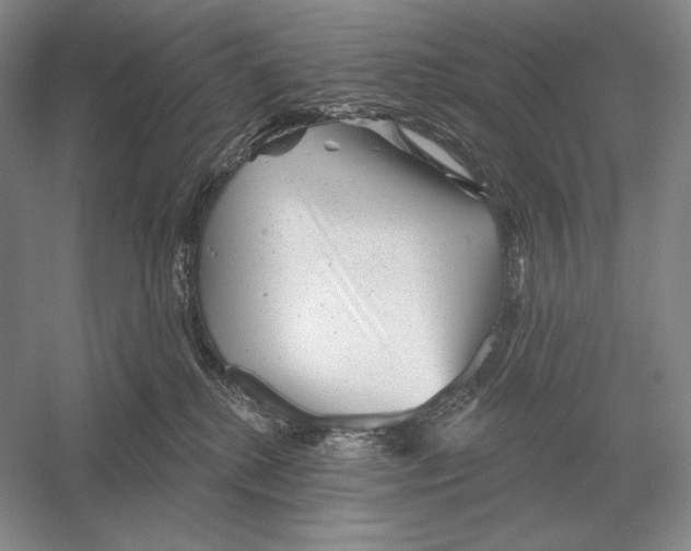 X0000052980280200508051049