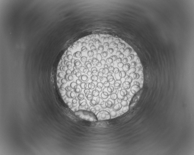 X0000052980282200508051049