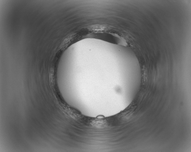 X0000052980283200508051049