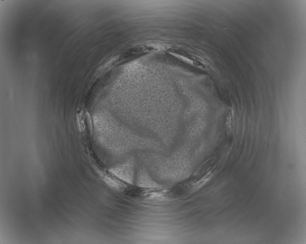 X0000052980285200508051049