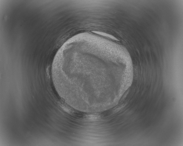 X0000052980286200508051049