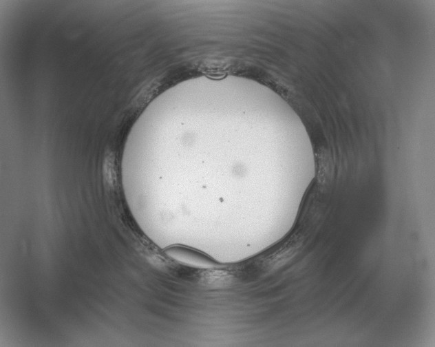 X0000052980287200508051049