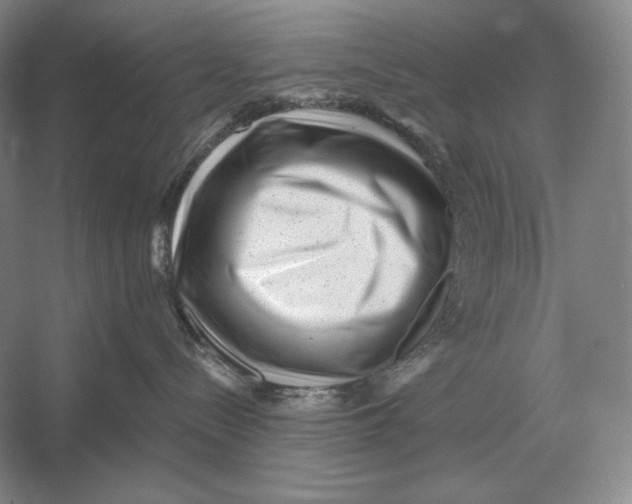 X0000052980288200508051049