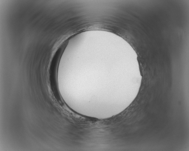 X0000052980289200508051048