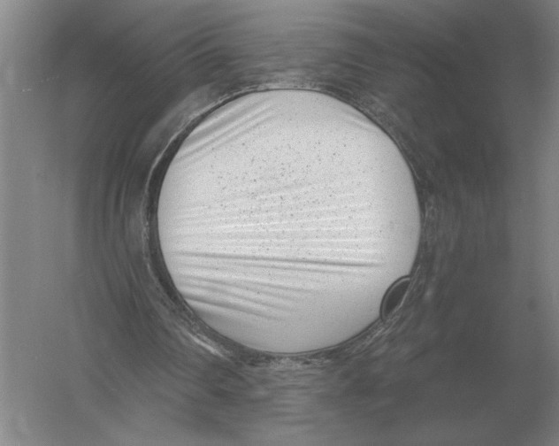 X0000052980290200508051048