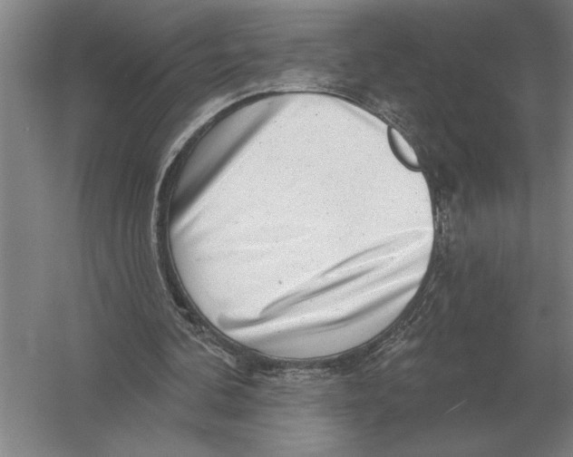 X0000052980292200508051048