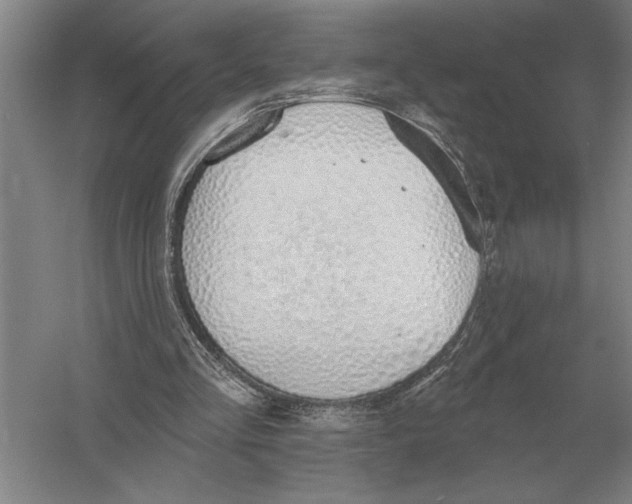 X0000052980293200508051048