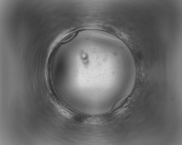 X0000052980294200508051048