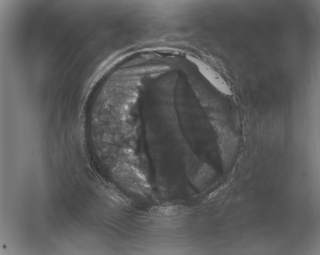 X0000052980295200508051048