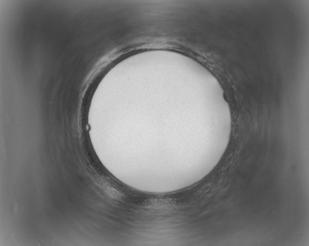 X0000052980296200508051048