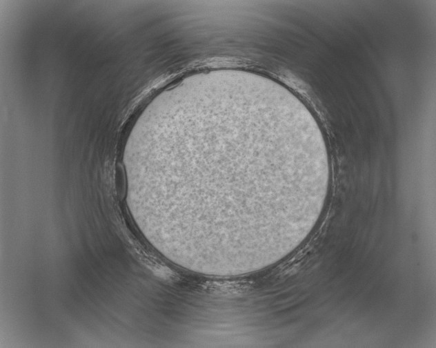 X0000052980297200508051048