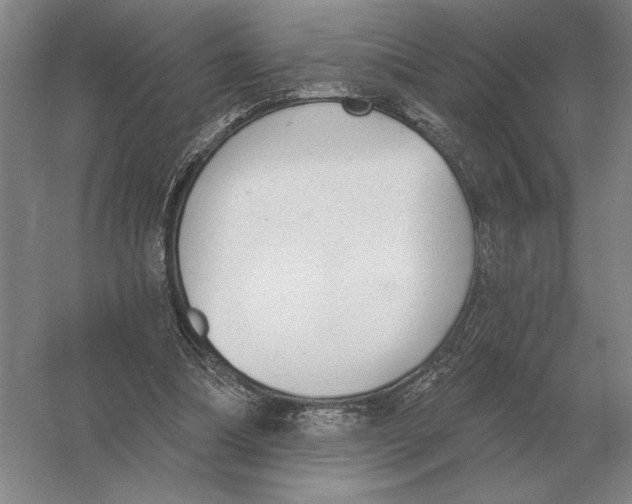 X0000052980298200508051048