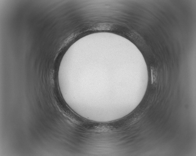 X0000052980300200508051048