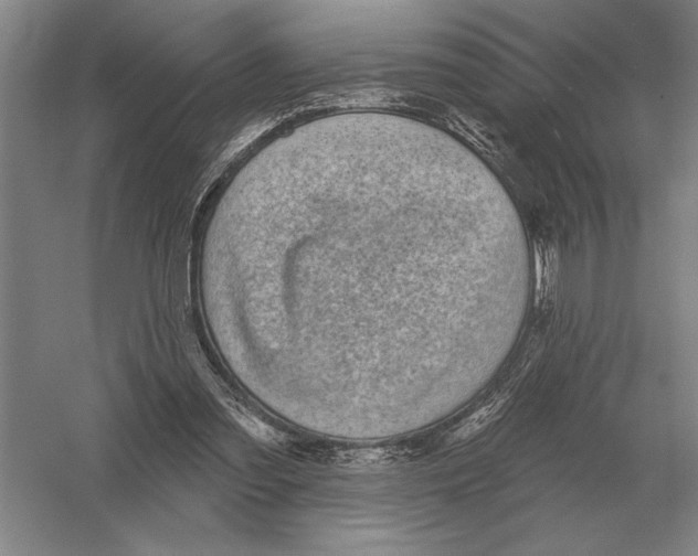 X0000052980301200508051048