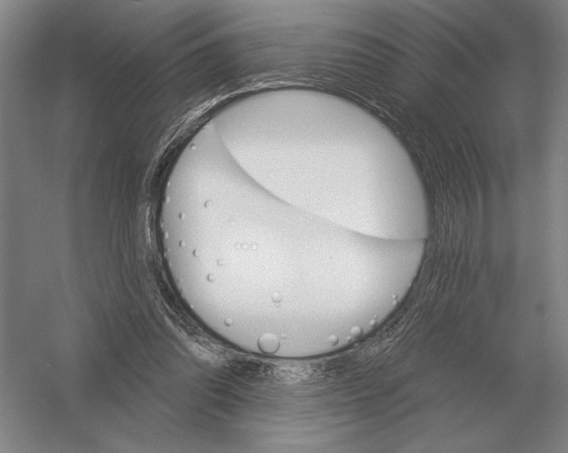 X0000052980302200508051048