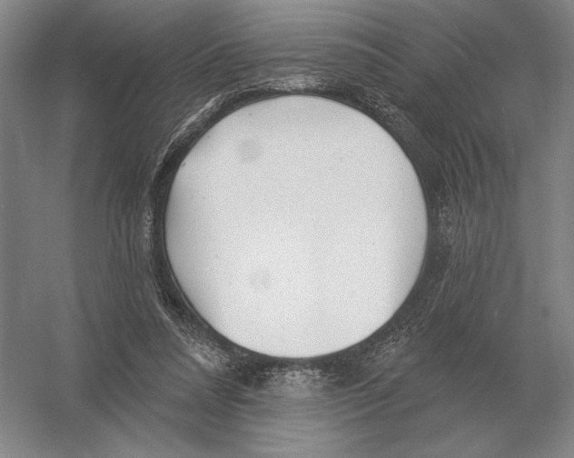 X0000052980304200508051048