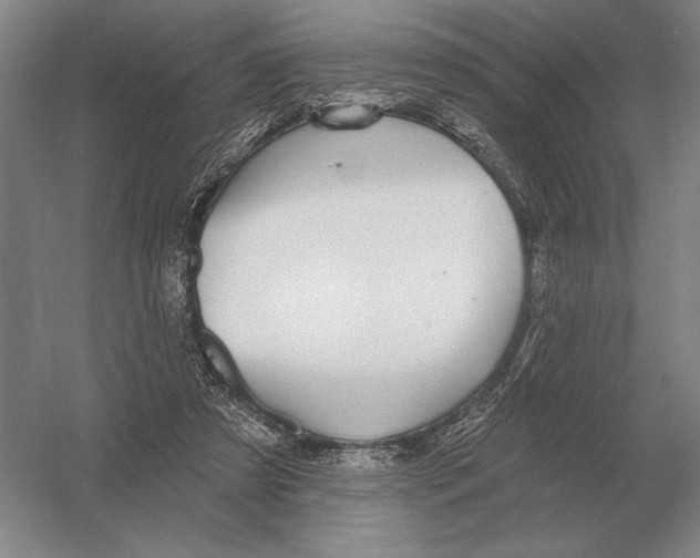 X0000052980305200508051048